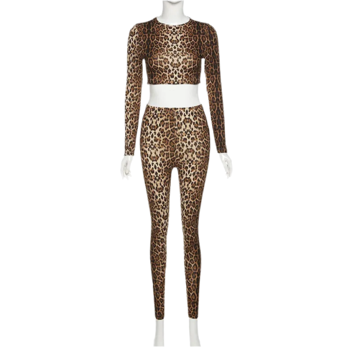 Leopard 2 PC Set